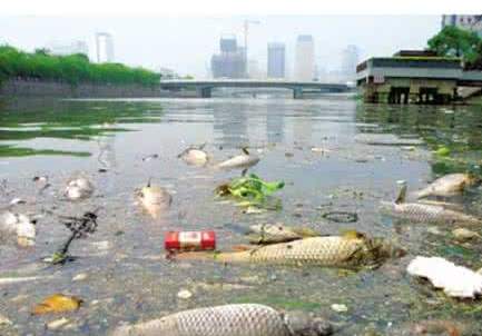 國(guó)務(wù)院檢查組暗訪核查佛山一農(nóng)村河涌黑臭十余年無人管理