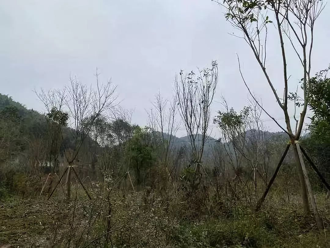 該俱樂部已蹤跡難尋西寧環(huán)保驗收公司