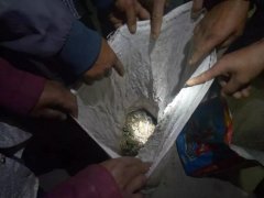 四川西昌5人抓133只野生蛙構(gòu)成非法狩獵罪，各罰八千青海水土保持代辦公司