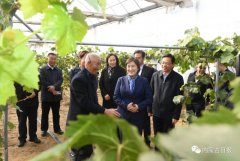 內(nèi)蒙古自治區(qū)主席:全力做好大氣污染聯(lián)防聯(lián)控聯(lián)治工作 確?!八{(lán)天保衛(wèi)戰(zhàn)”圓滿收官青海水土保持代辦公司