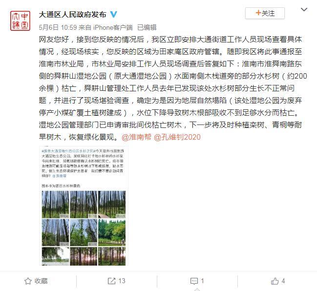 淮南回應“濕地公園水杉死亡”:地層塌陷缺水枯亡西寧污水處理公司