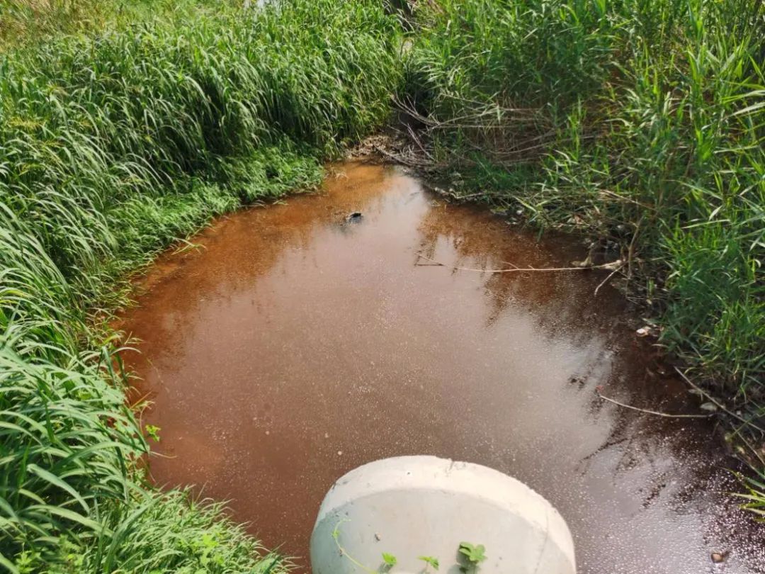 山東寧陽化工產業(yè)園工業(yè)污水長期直排 環(huán)境污染問題突出青海防洪評價